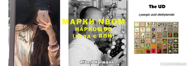 ПСИЛОЦИБИНОВЫЕ ГРИБЫ Балахна